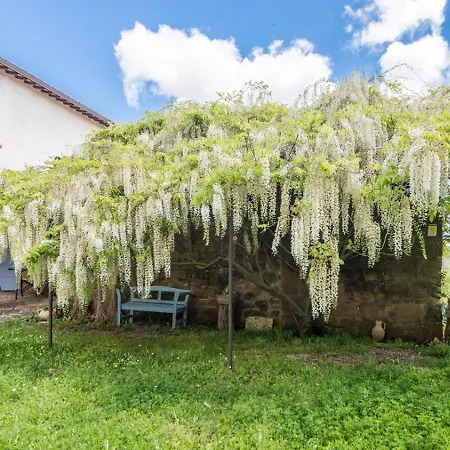 Borgo Rinascimento * Farnese